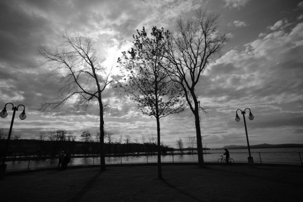 Objectif fixe 20 mm Canon