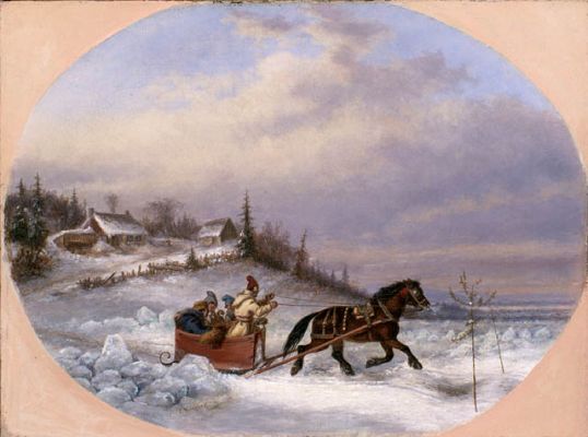 Le cheval canadien : race patrimoniale du Québec