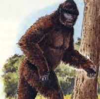 L’abominable homme des bois, est-il présent au Québec?