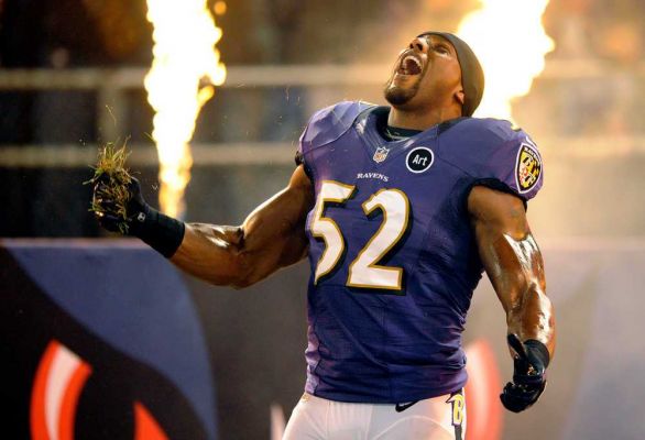 NFL Superbowl XLVII : Qui sont les Ravens de Baltimore?