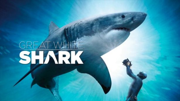 Critique cinéma : « Le grand requin blanc 3D »