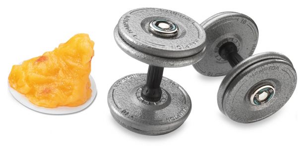 Musculation : un excellent moyen pour perdre du gras!