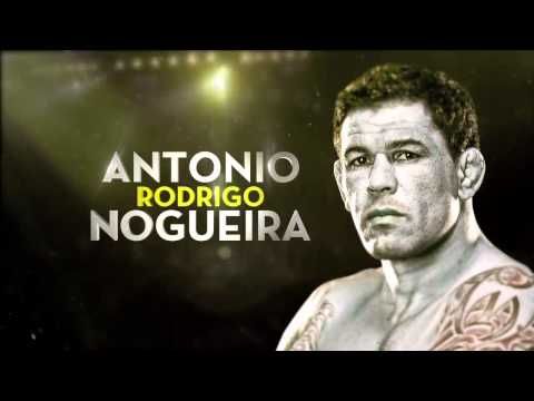 UFC on FUEL TV 10 au Brésil : Nogueira vs Werdum – Aperçu et prédictions