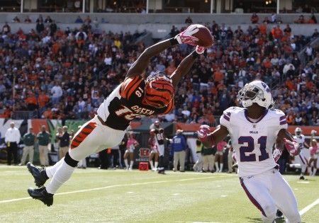 NFL : Prédictions 2013 – AFC North
