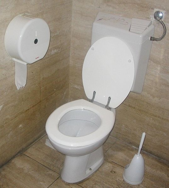 Il reçoit 30 points de suture après l'explosion de sa toilette