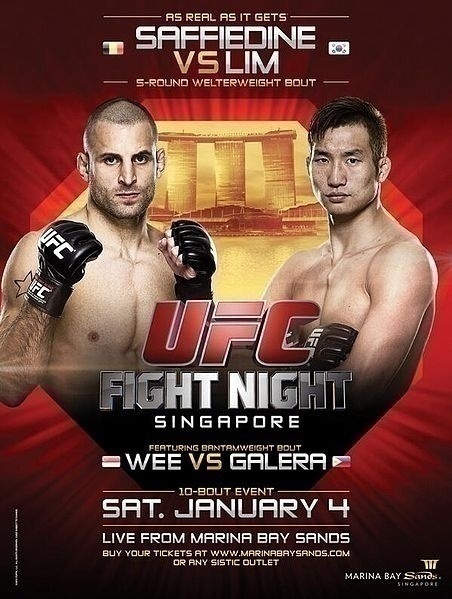 AMM : Aperçu des premiers événements UFC de 2014