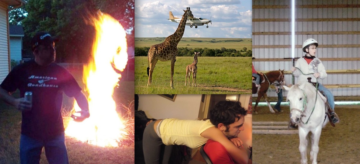 Les meilleures photos prises au parfait moment (partie 2)-12