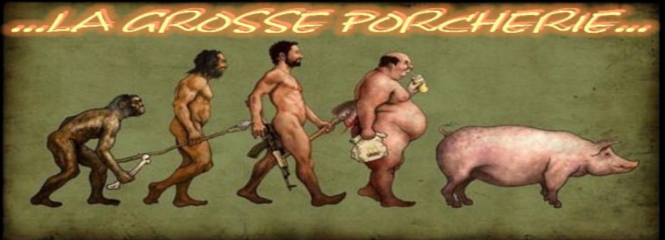 Expressions cochonnes!