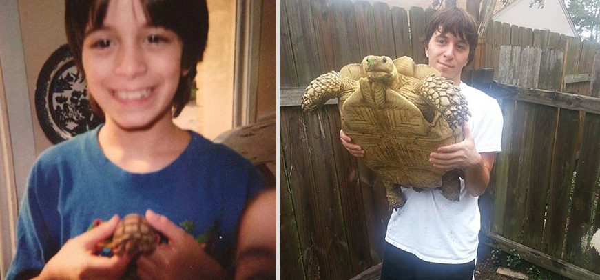 Avant et après : des gens pris en photo avec leur animal de compagnie