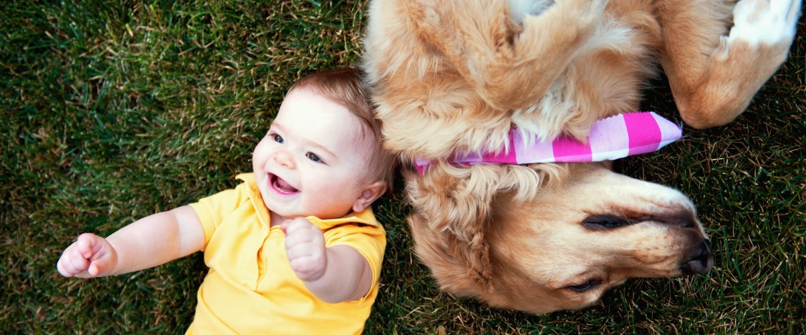 8 conseils simples pour trouver le bonheur