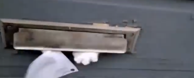 Ce chat terrorise et se paye la gueule du facteur!