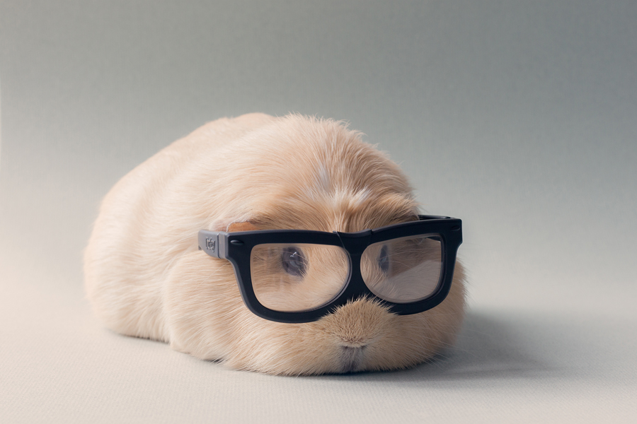 Booboo et ses amis sont tout simplement adorables -2