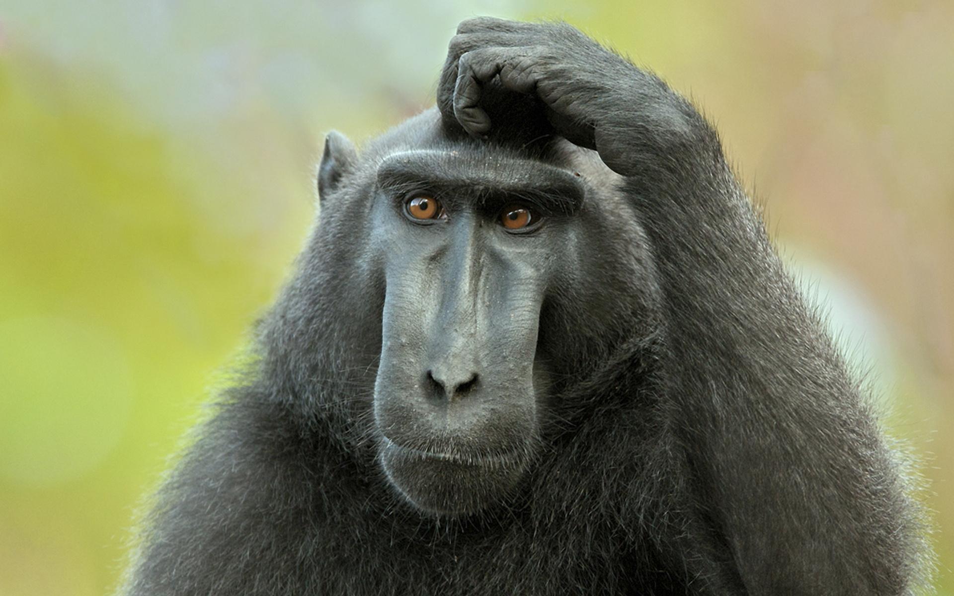 Insolite : 5 crimes totalement stupides! – partie 2