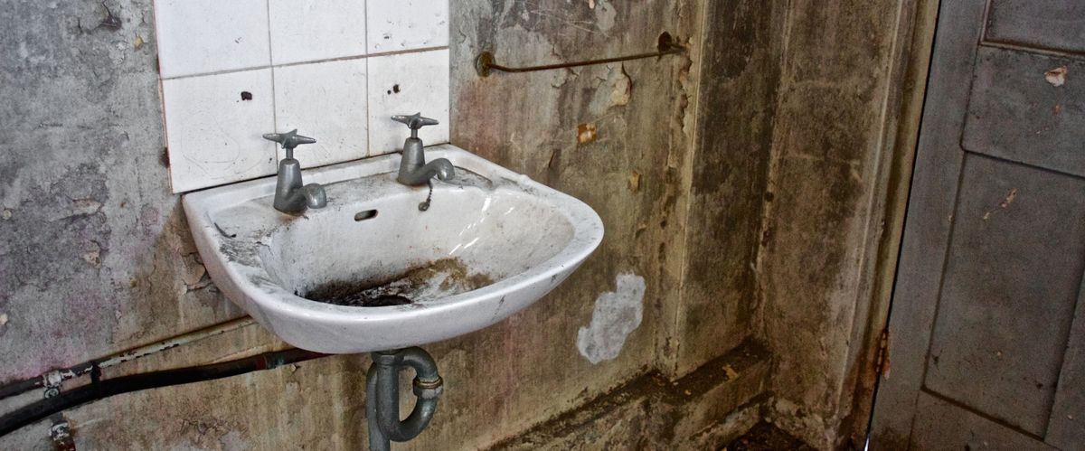 10 choses de tous les jours qui ont plus de germes que le siège d’une toilette -2