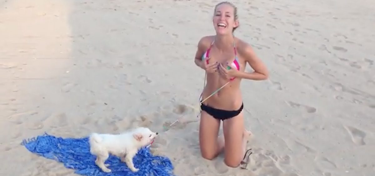 Humour: Un chien veut lui enlever son bikini… et il ne lâche pas le morceau!