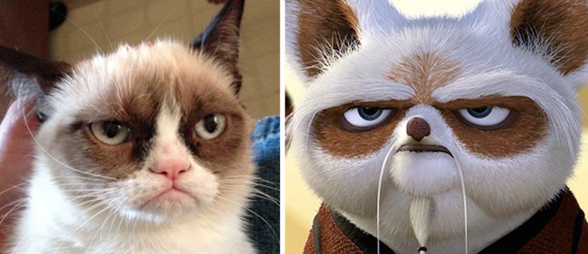 20 choses et personnes totalement différentes… mais qui se ressemblent étrangement!