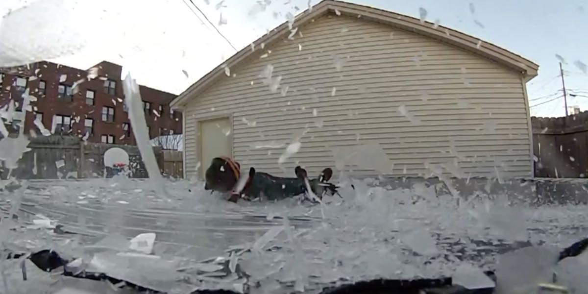 Ce gars téméraire saute sur un trampoline gelé à partir du toit de son garage