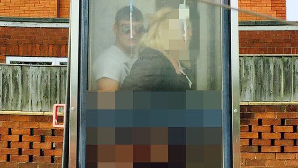 En allant à l'animalerie, ce couple décide d'avoir une petite vite dans une cabine téléphonique!