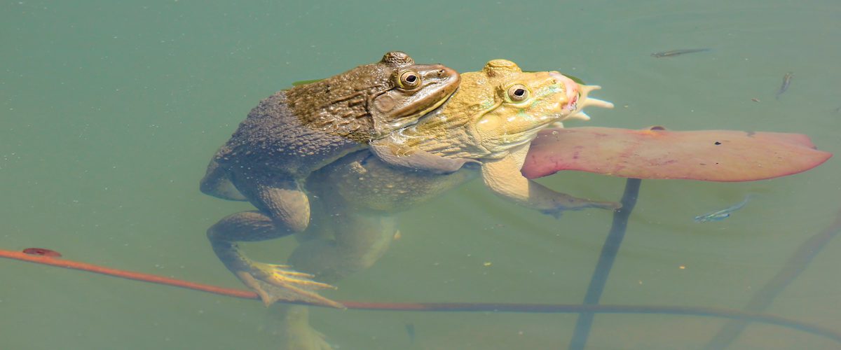 6 positions sexuelles à essayer pour les amoureux de l’eau!