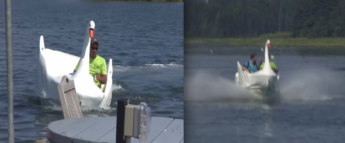 Le lac des cygnes, version «Fast and furious»