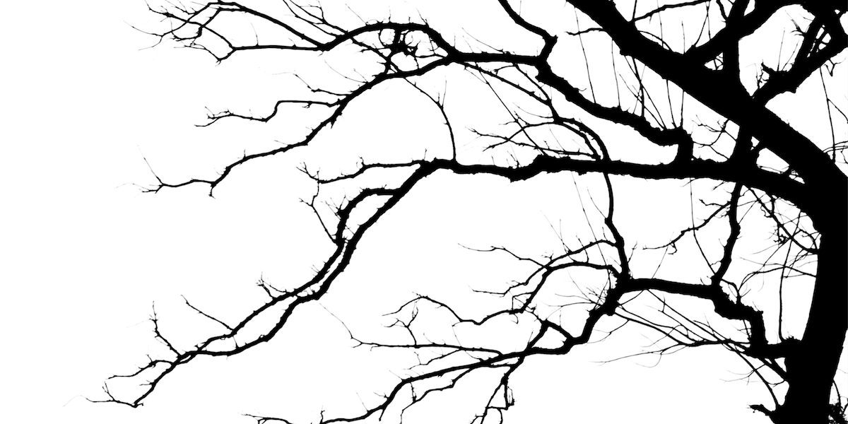 Avec ce test, tu peux savoir quand et comment tu vas mourir