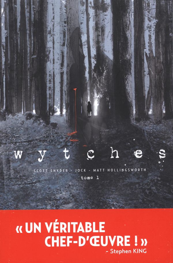 Wytches – tome 1 : un roman graphique qui vous donnera la chair de poule!
