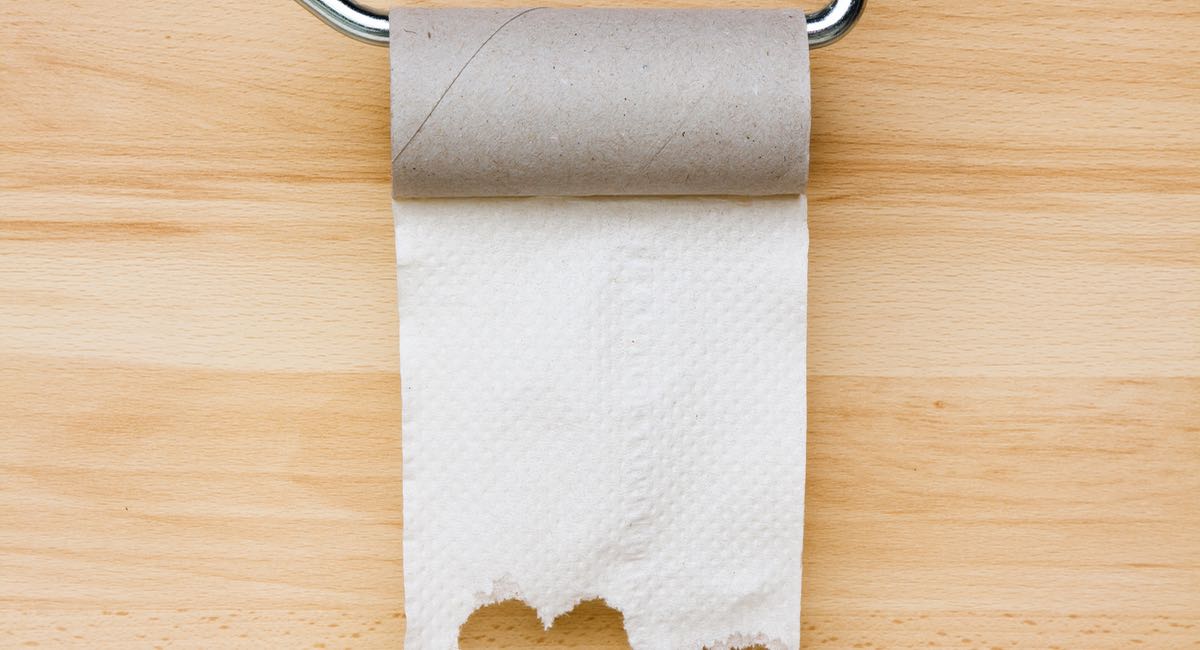 Après avoir lu ceci, vous ne verrez plus jamais votre papier de toilette de la même façon!