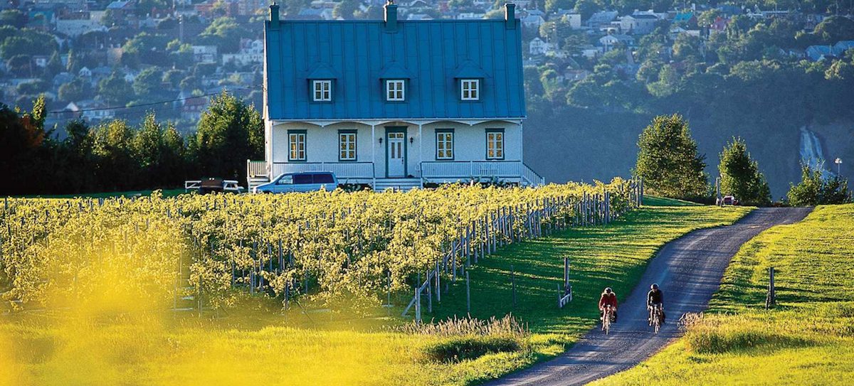 Voici les 5 plus belles pistes de vélo du Québec