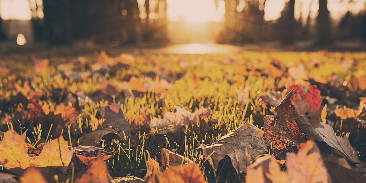3 raisons qui prouvent que l’automne est génial.