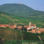 Vin : la région de Bourgogne 101