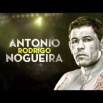 UFC on FUEL TV 10 au Brésil : Nogueira vs Werdum – Aperçu et prédictions