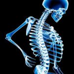Nutrition : Pour des os forts et en santé