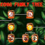 Donkey Kong : Qui sont les Kong?
