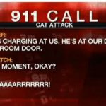 Une famille attaquée par son chat appelle le 911