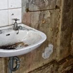10 choses de tous les jours qui ont plus de germes que le siège d’une toilette